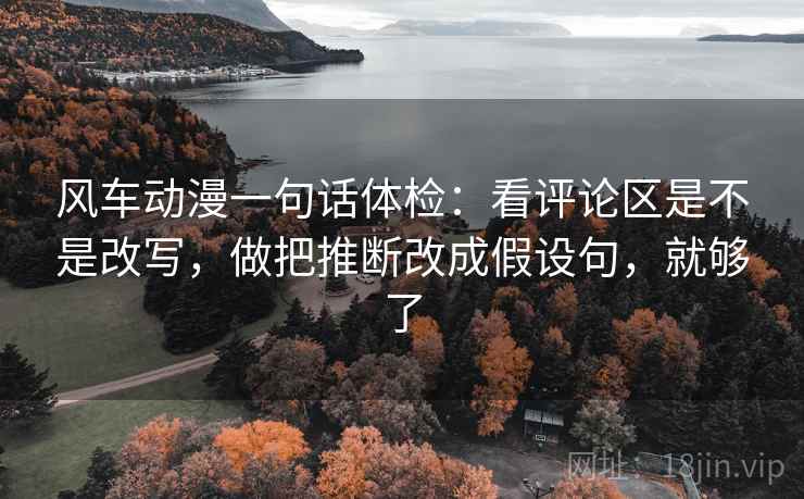 风车动漫一句话体检：看评论区是不是改写，做把推断改成假设句，就够了