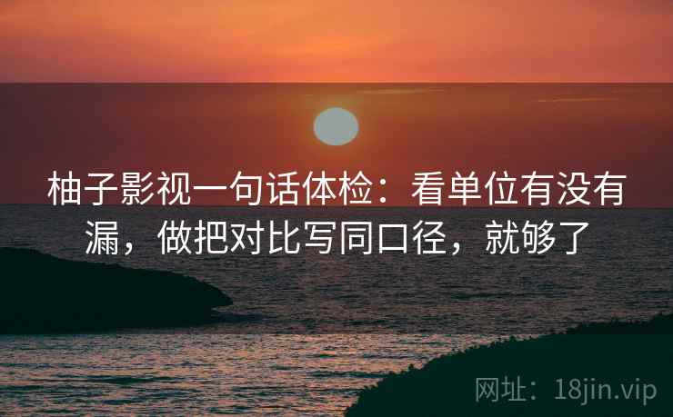 柚子影视一句话体检：看单位有没有漏，做把对比写同口径，就够了