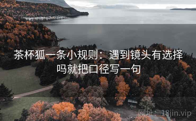 茶杯狐一条小规则：遇到镜头有选择吗就把口径写一句